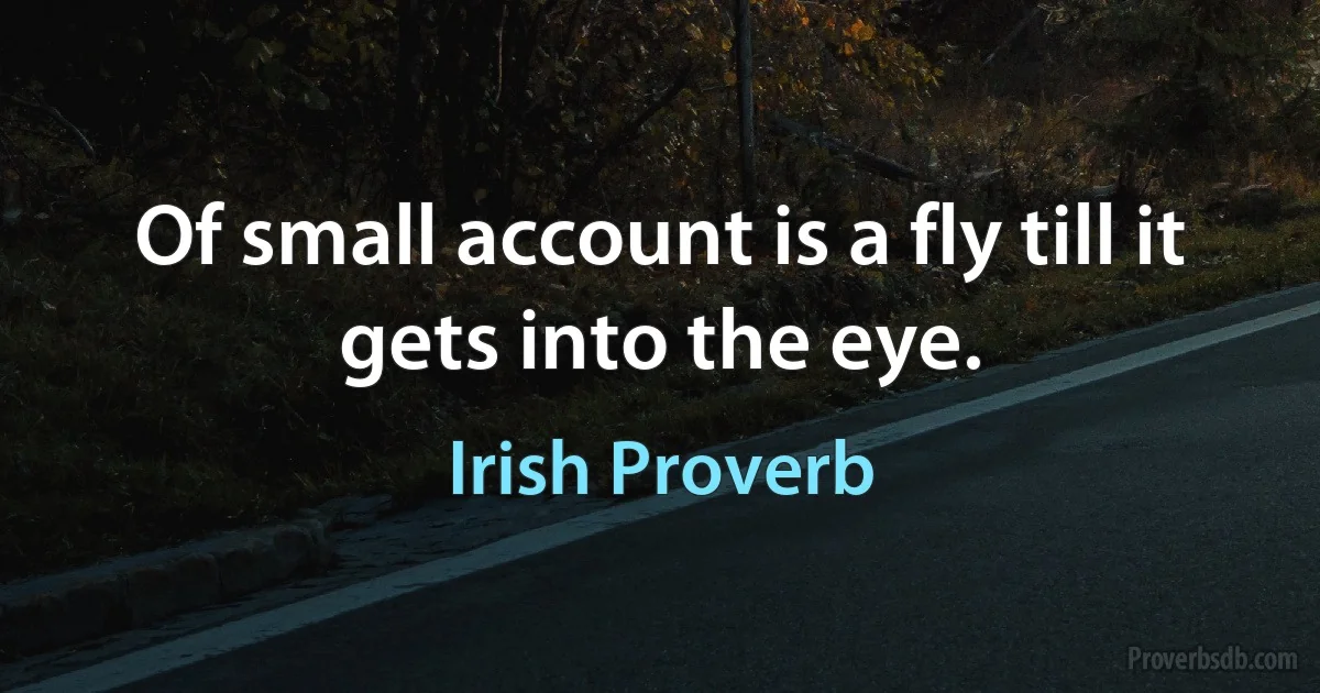 Of small account is a fly till it gets into the eye. (Irish Proverb)