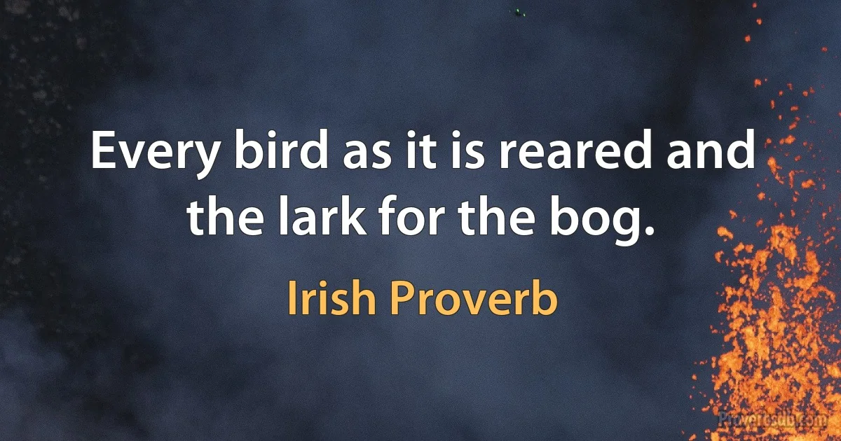 Every bird as it is reared and the lark for the bog. (Irish Proverb)