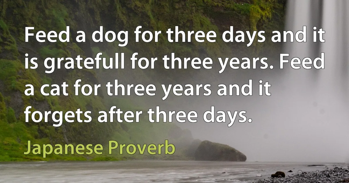 Feed a dog for three days and it is gratefull for three years. Feed a cat for three years and it forgets after three days. (Japanese Proverb)