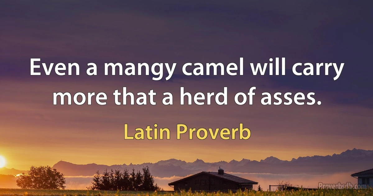 Even a mangy camel will carry more that a herd of asses. (Latin Proverb)