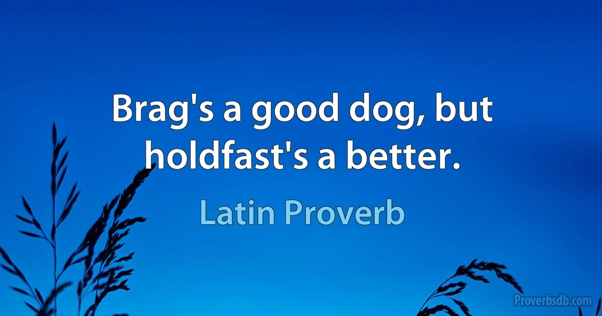 Brag's a good dog, but holdfast's a better. (Latin Proverb)