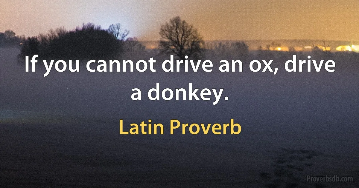 If you cannot drive an ox, drive a donkey. (Latin Proverb)