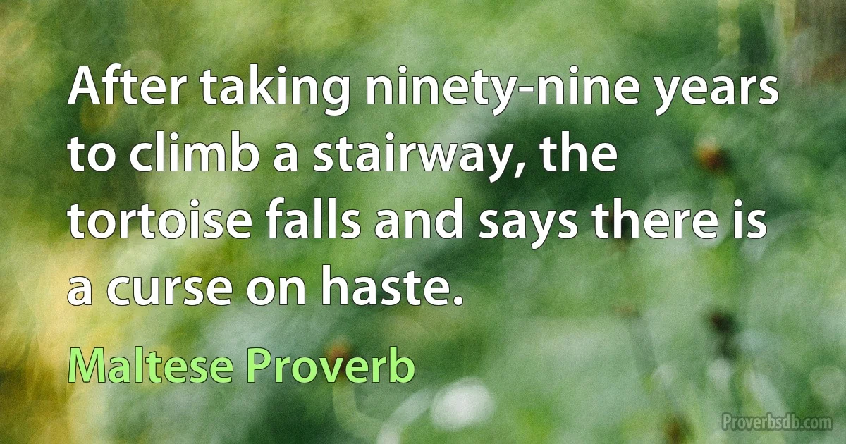 After taking ninety-nine years to climb a stairway, the tortoise falls and says there is a curse on haste. (Maltese Proverb)