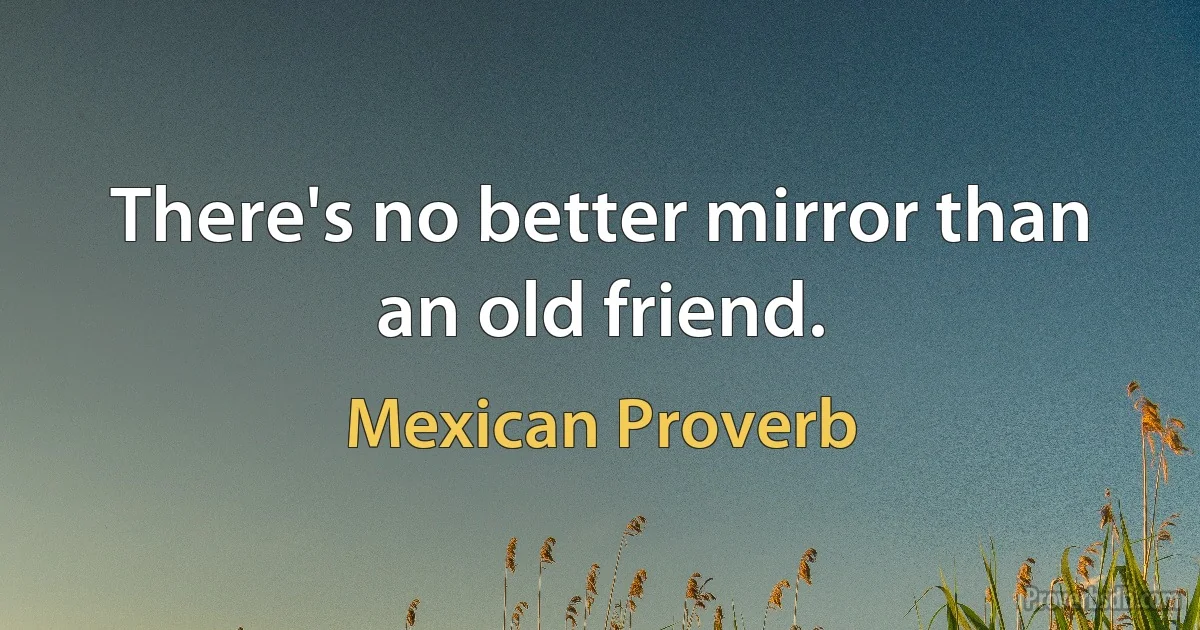 There's no better mirror than an old friend. (Mexican Proverb)