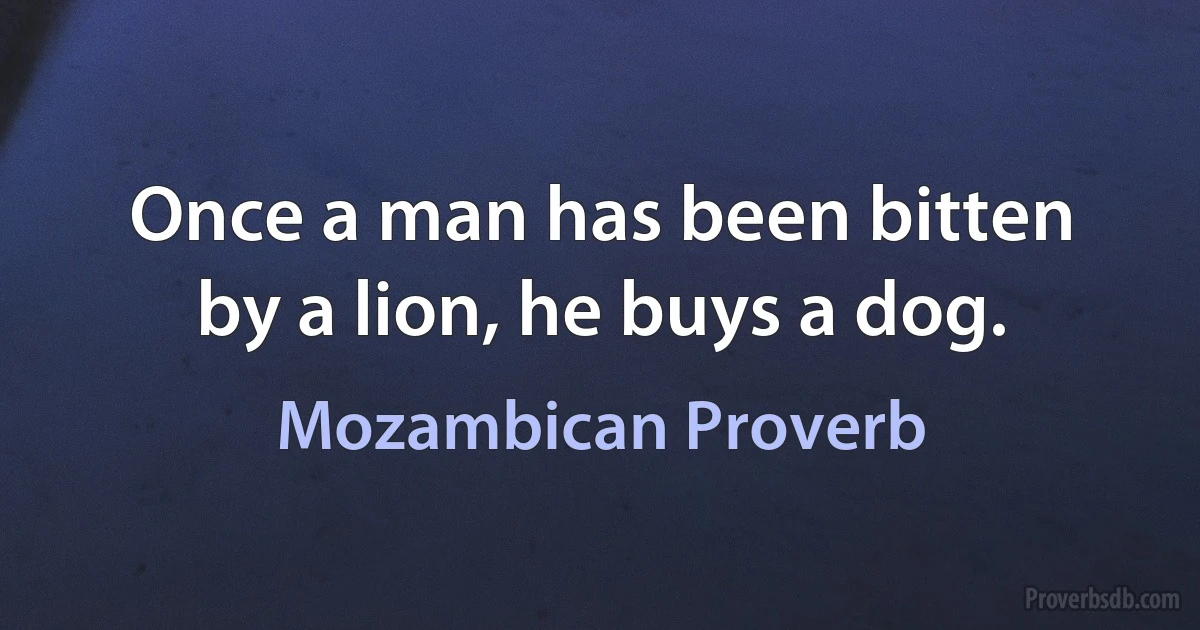 Once a man has been bitten by a lion, he buys a dog. (Mozambican Proverb)