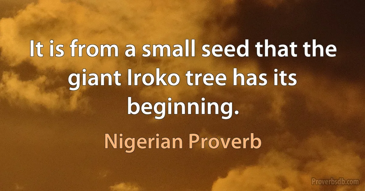 It is from a small seed that the giant Iroko tree has its beginning. (Nigerian Proverb)