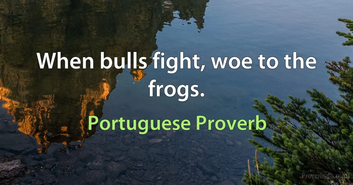 When bulls fight, woe to the frogs. (Portuguese Proverb)