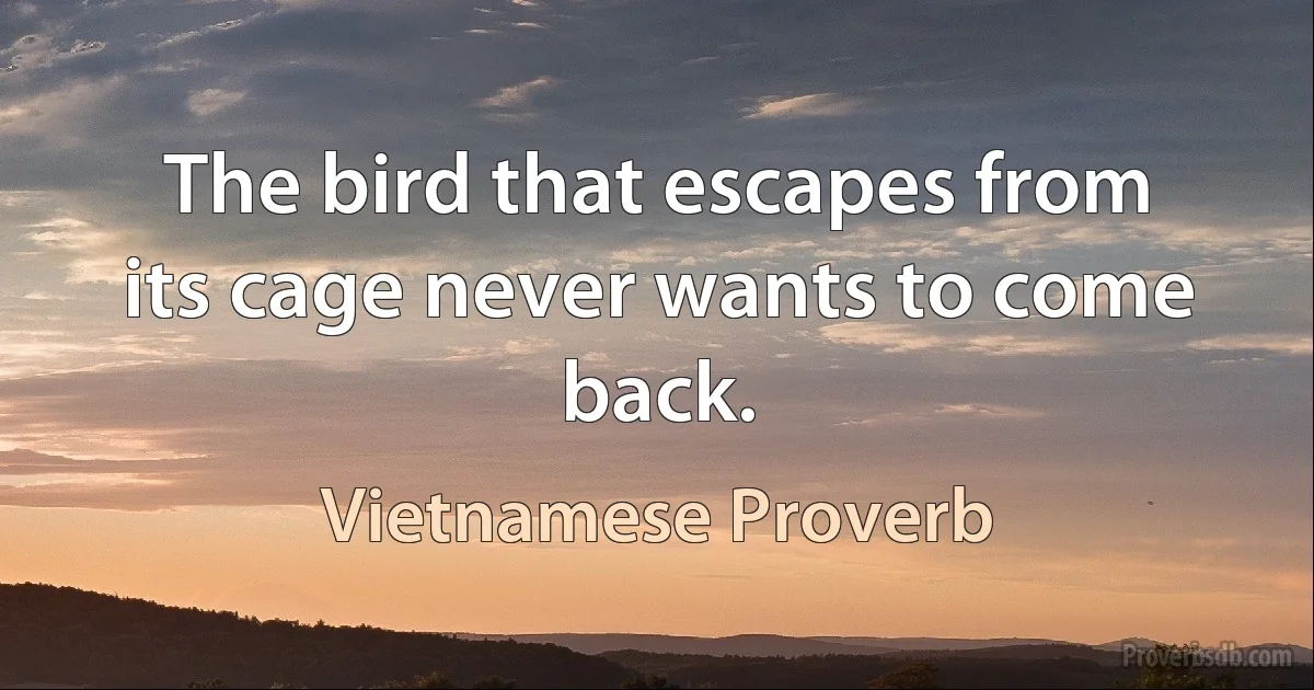 The bird that escapes from its cage never wants to come back. (Vietnamese Proverb)