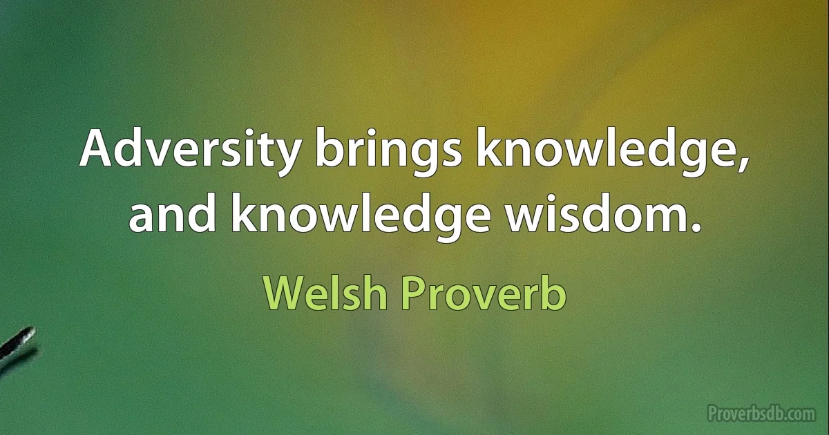 Adversity brings knowledge, and knowledge wisdom. (Welsh Proverb)