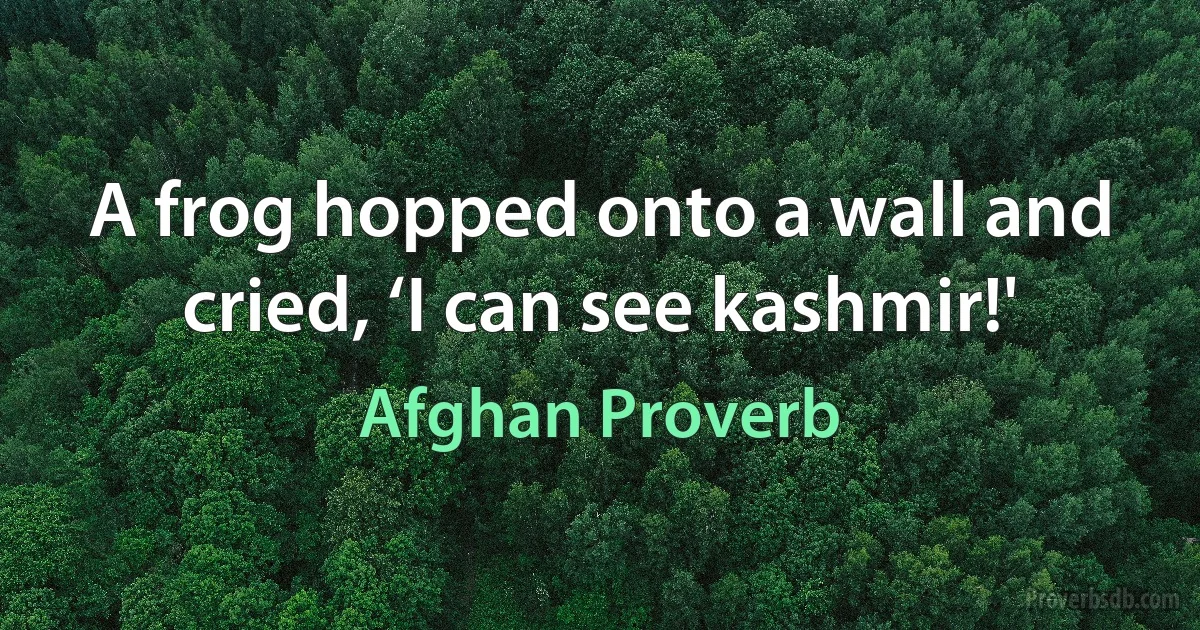 A frog hopped onto a wall and cried, ‘I can see kashmir!' (Afghan Proverb)