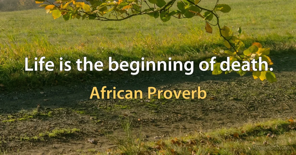 Life is the beginning of death. (African Proverb)