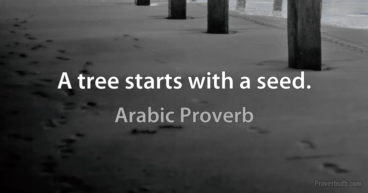 A tree starts with a seed. (Arabic Proverb)