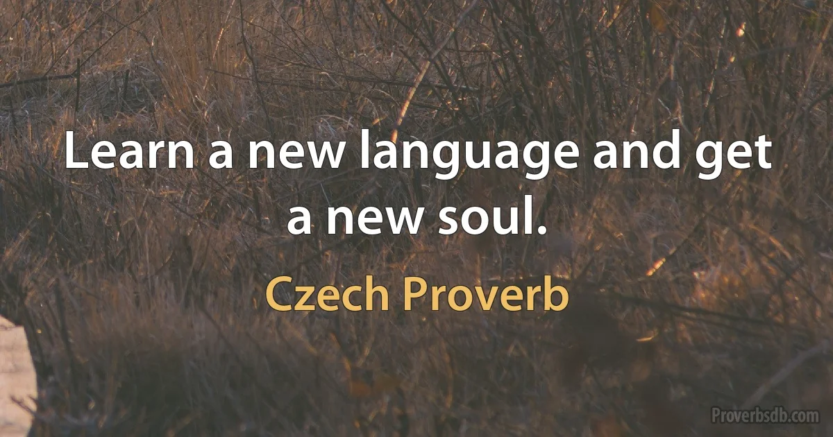 Learn a new language and get a new soul. (Czech Proverb)