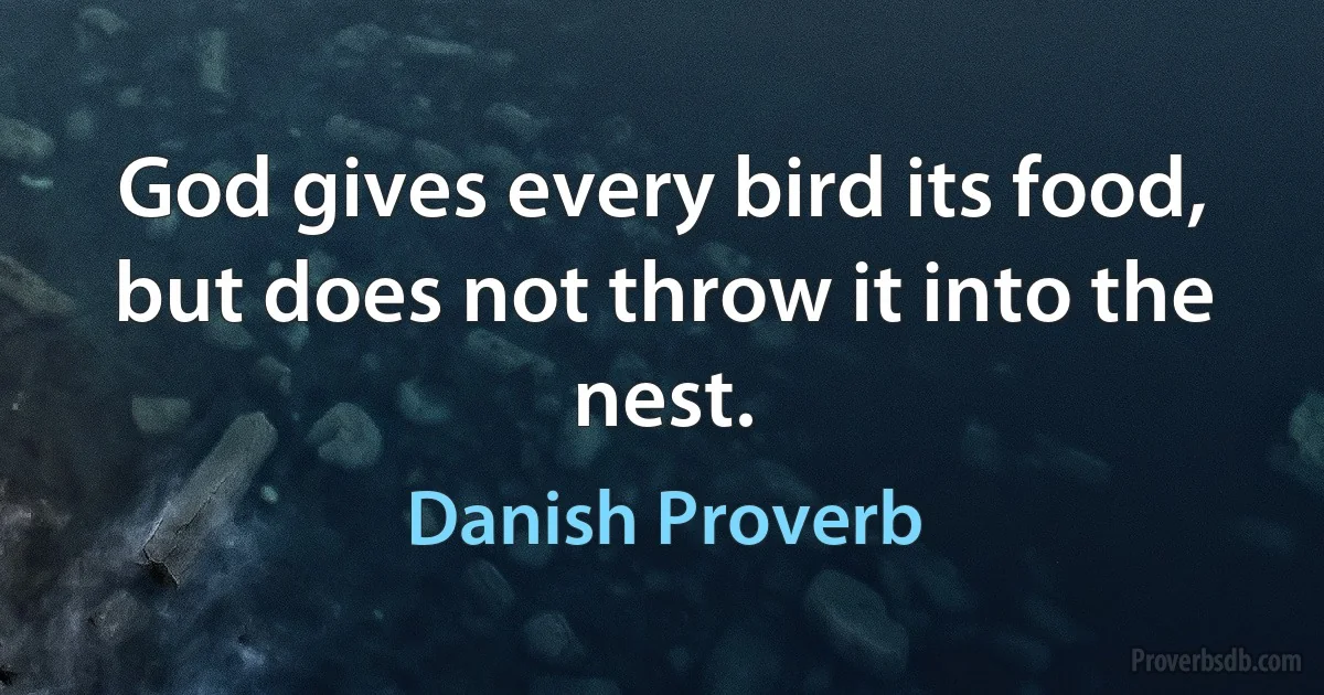 God gives every bird its food, but does not throw it into the nest. (Danish Proverb)