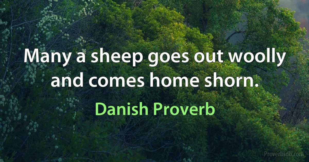 Many a sheep goes out woolly and comes home shorn. (Danish Proverb)