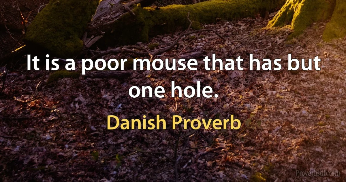 It is a poor mouse that has but one hole. (Danish Proverb)