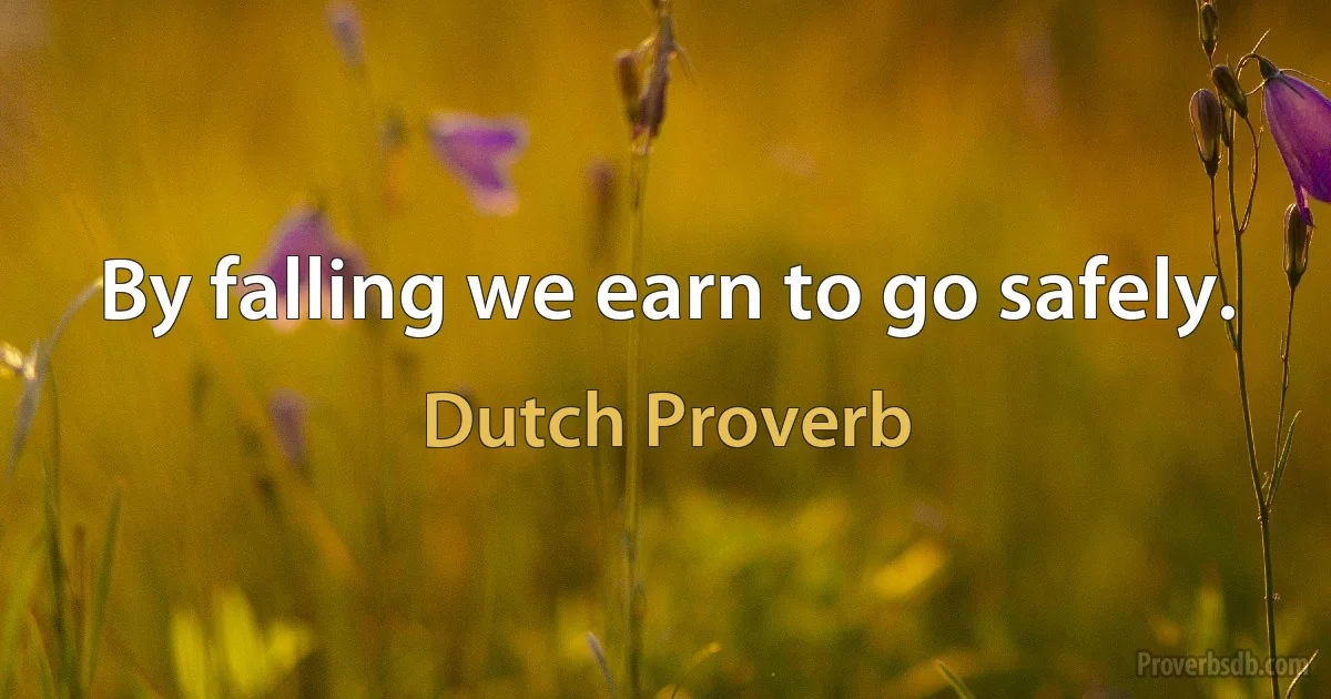 By falling we earn to go safely. (Dutch Proverb)