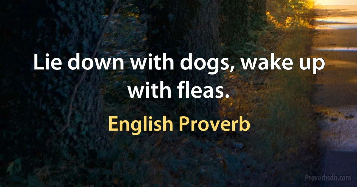 Lie down with dogs, wake up with fleas. (English Proverb)