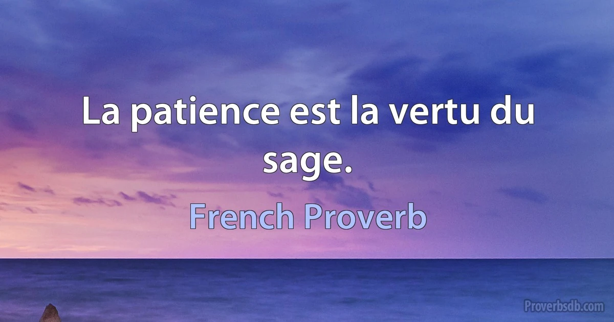 La patience est la vertu du sage. (French Proverb)