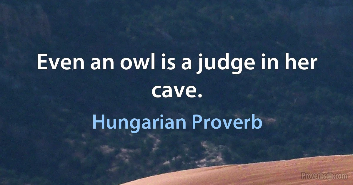 Even an owl is a judge in her cave. (Hungarian Proverb)