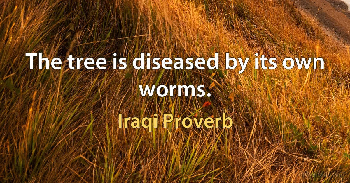 The tree is diseased by its own worms. (Iraqi Proverb)