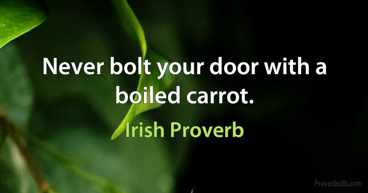 Never bolt your door with a boiled carrot. (Irish Proverb)