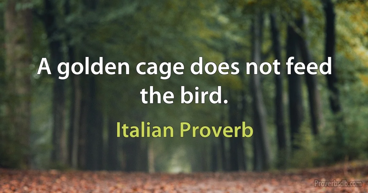 A golden cage does not feed the bird. (Italian Proverb)