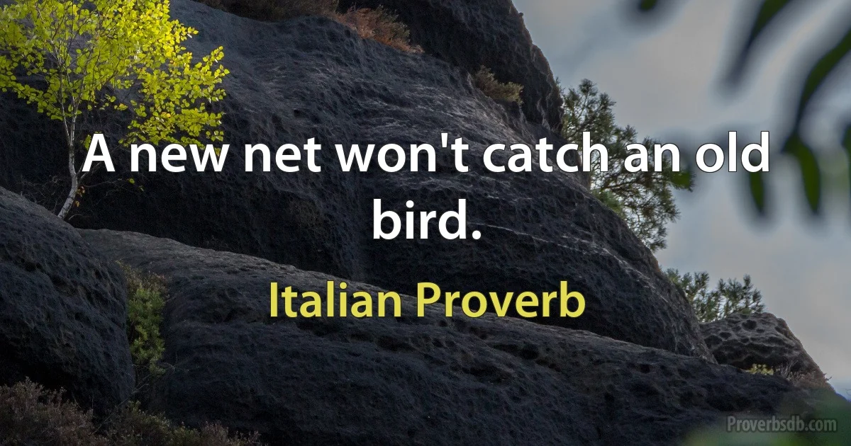 A new net won't catch an old bird. (Italian Proverb)