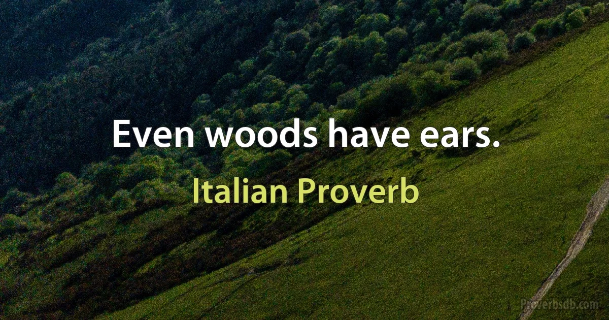 Even woods have ears. (Italian Proverb)