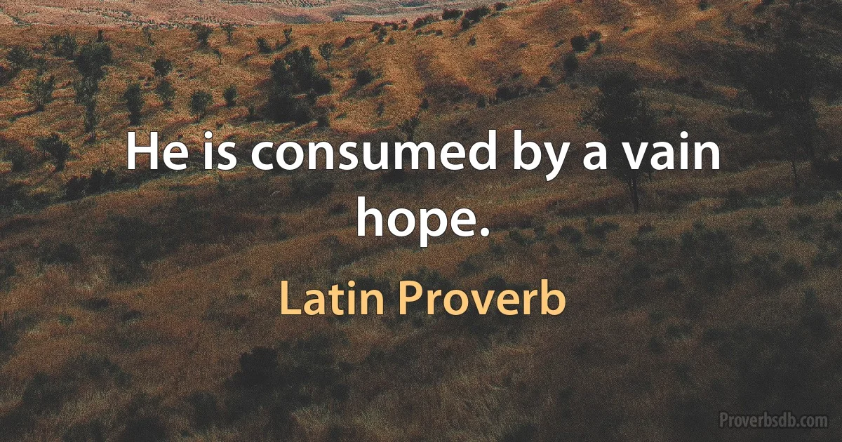 He is consumed by a vain hope. (Latin Proverb)