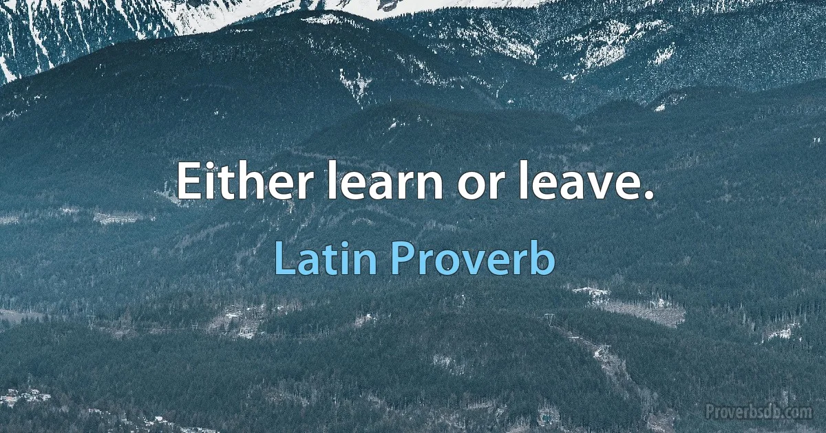 Either learn or leave. (Latin Proverb)