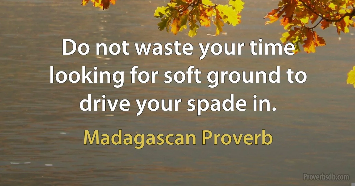 Do not waste your time looking for soft ground to drive your spade in. (Madagascan Proverb)