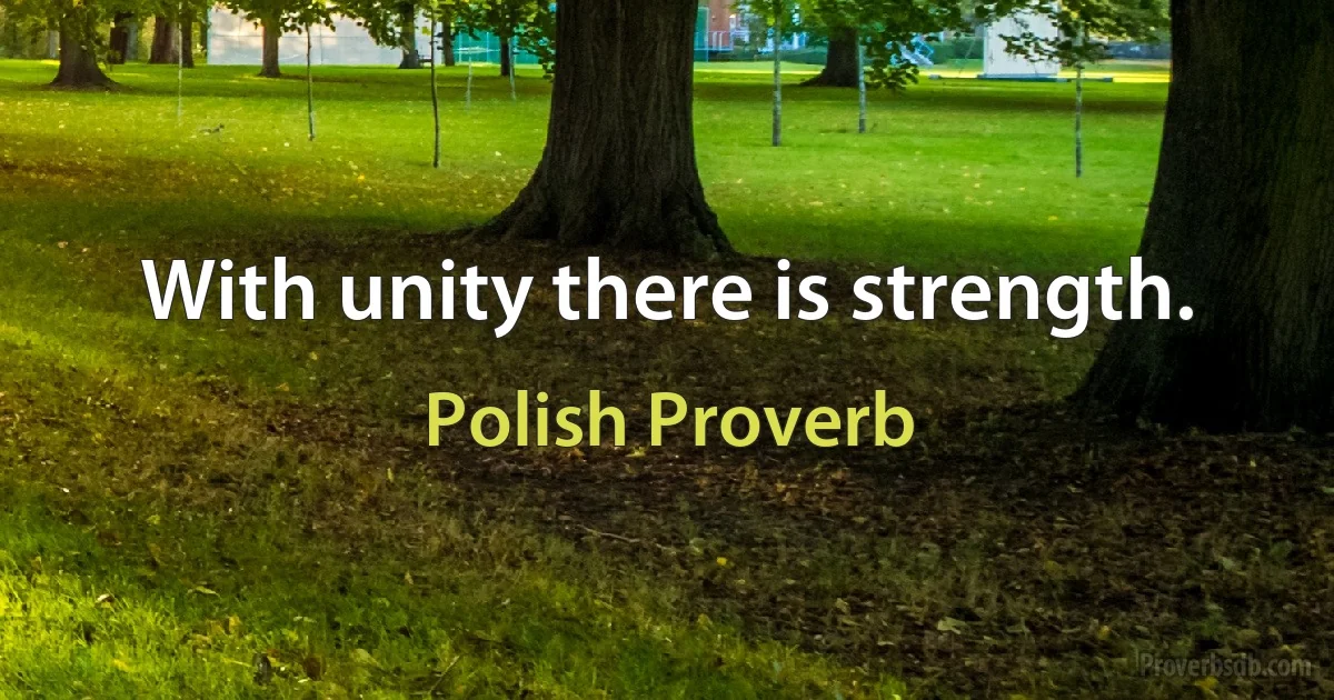 With unity there is strength. (Polish Proverb)