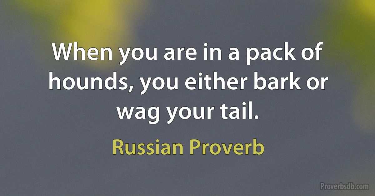 When you are in a pack of hounds, you either bark or wag your tail. (Russian Proverb)