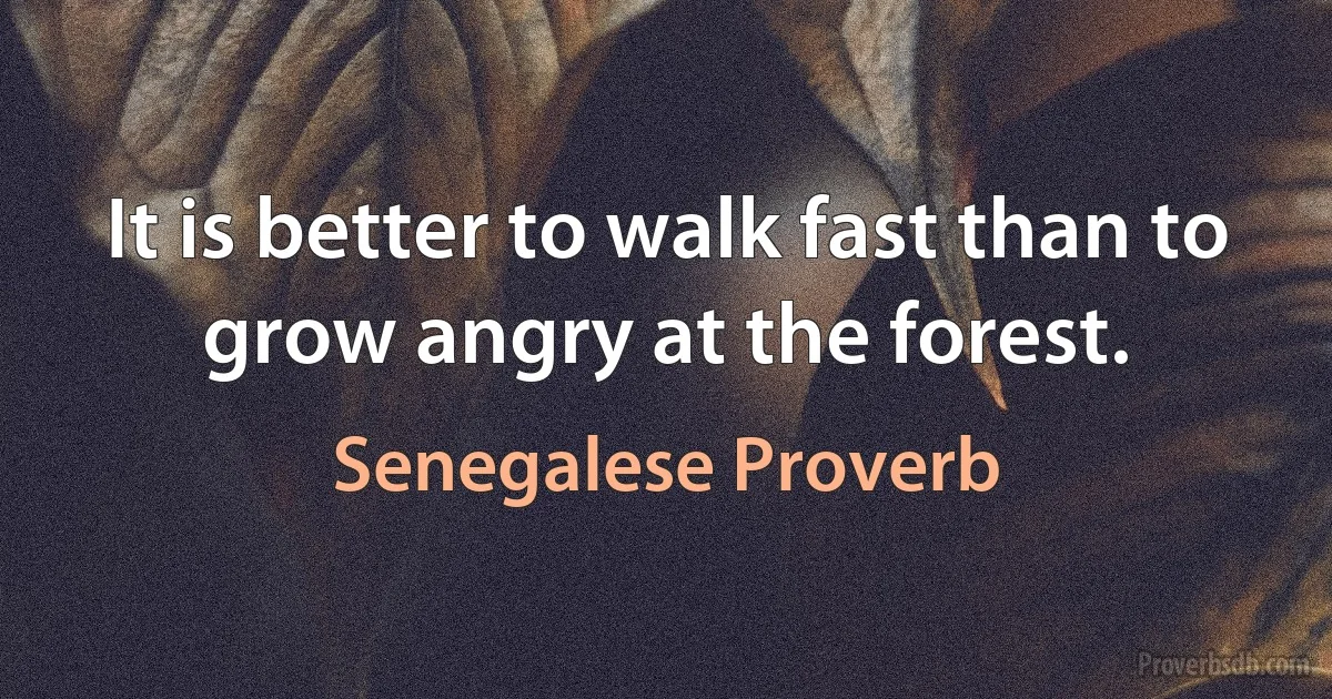 It is better to walk fast than to grow angry at the forest. (Senegalese Proverb)