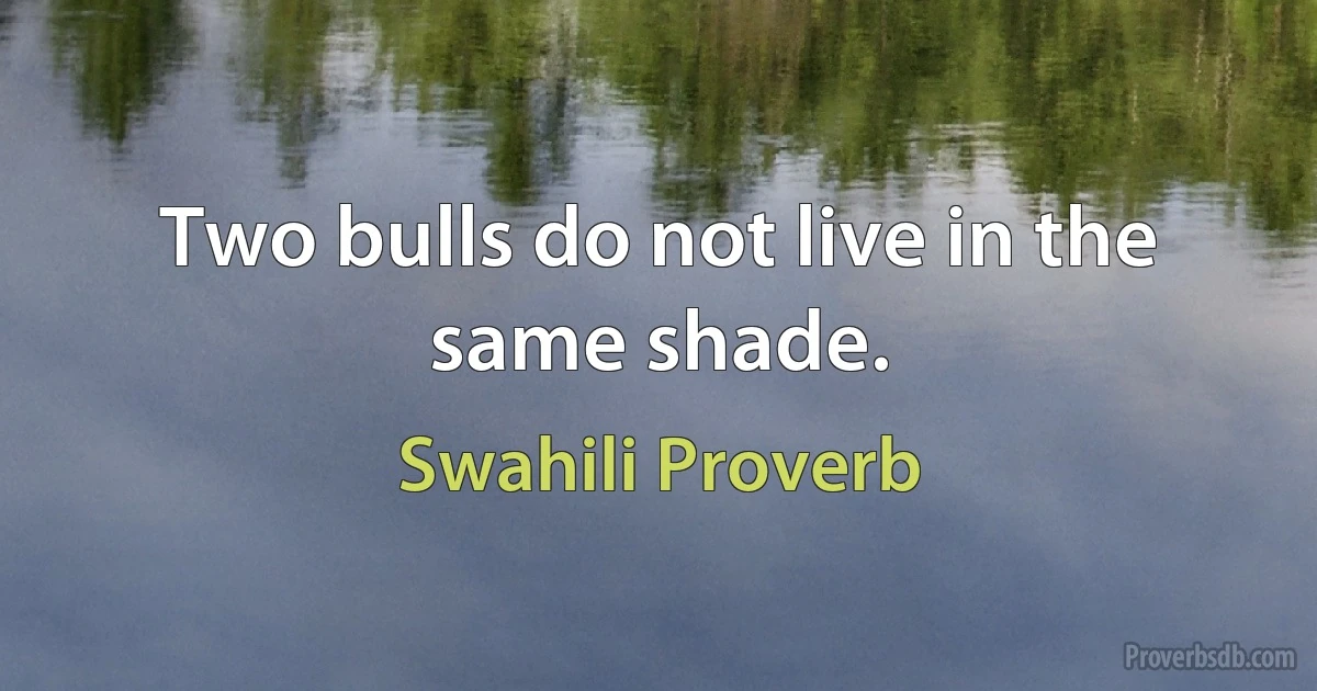 Two bulls do not live in the same shade. (Swahili Proverb)