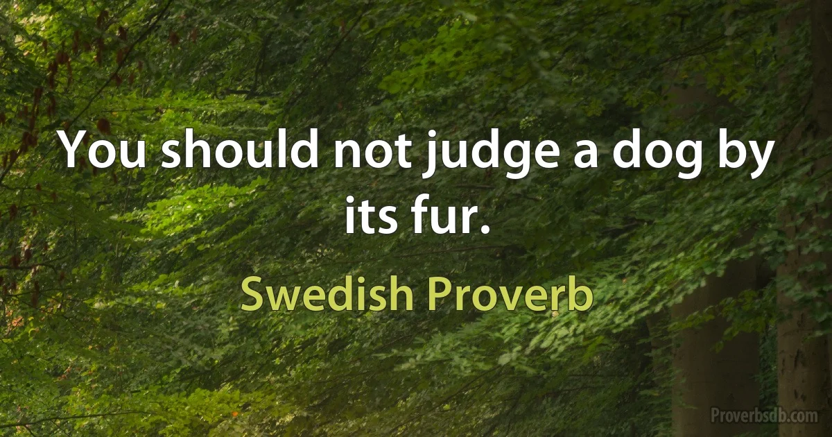 You should not judge a dog by its fur. (Swedish Proverb)