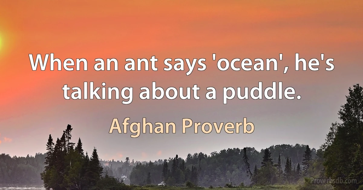 When an ant says 'ocean', he's talking about a puddle. (Afghan Proverb)