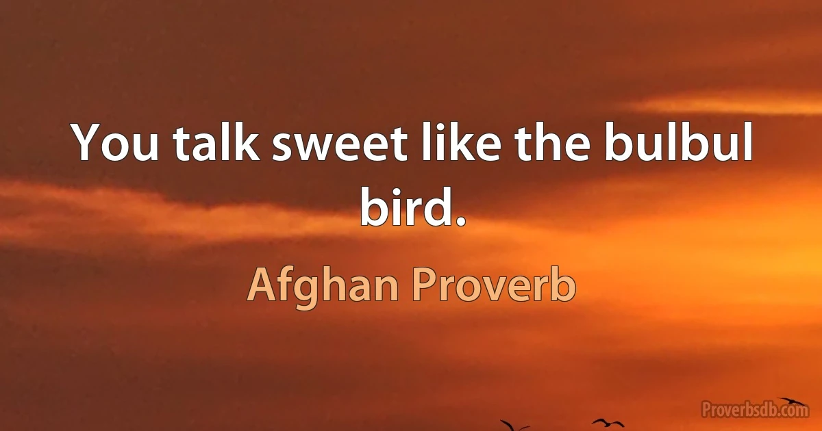 You talk sweet like the bulbul bird. (Afghan Proverb)