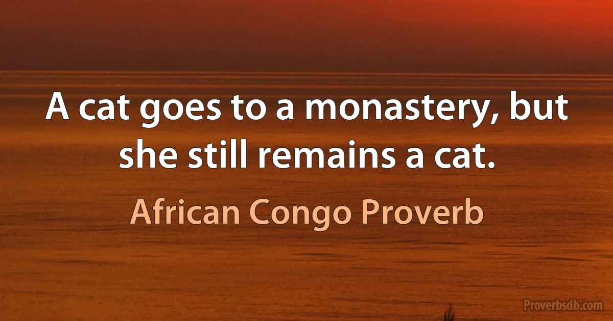 A cat goes to a monastery, but she still remains a cat. (African Congo Proverb)