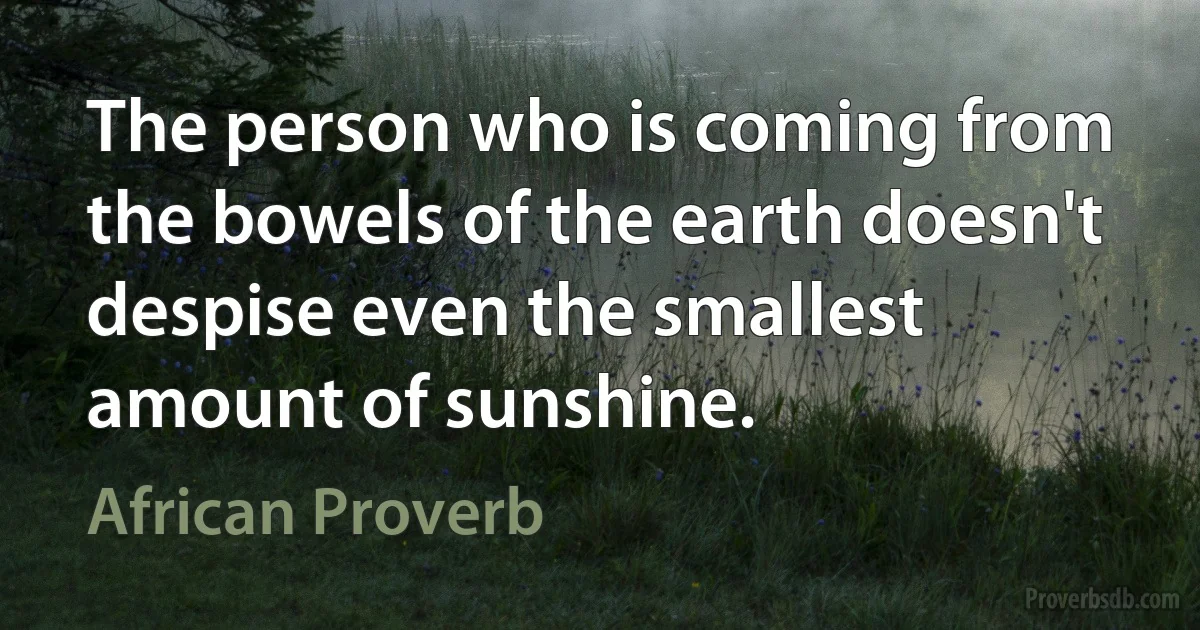 The person who is coming from the bowels of the earth doesn't despise even the smallest amount of sunshine. (African Proverb)