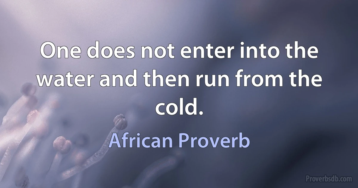 One does not enter into the water and then run from the cold. (African Proverb)