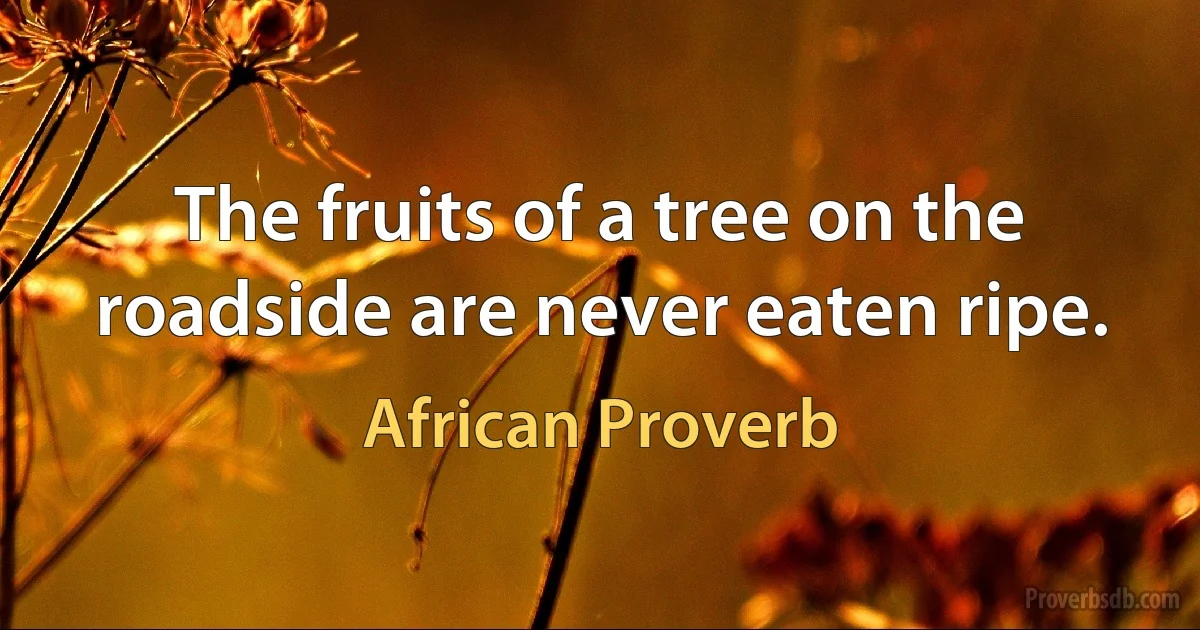 The fruits of a tree on the roadside are never eaten ripe. (African Proverb)