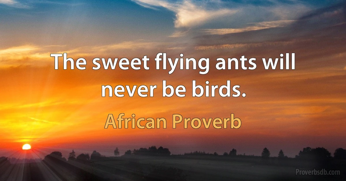 The sweet flying ants will never be birds. (African Proverb)