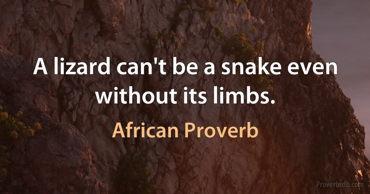 A lizard can't be a snake even without its limbs. (African Proverb)