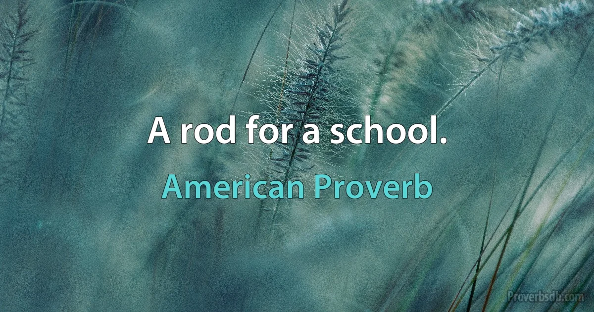 A rod for a school. (American Proverb)