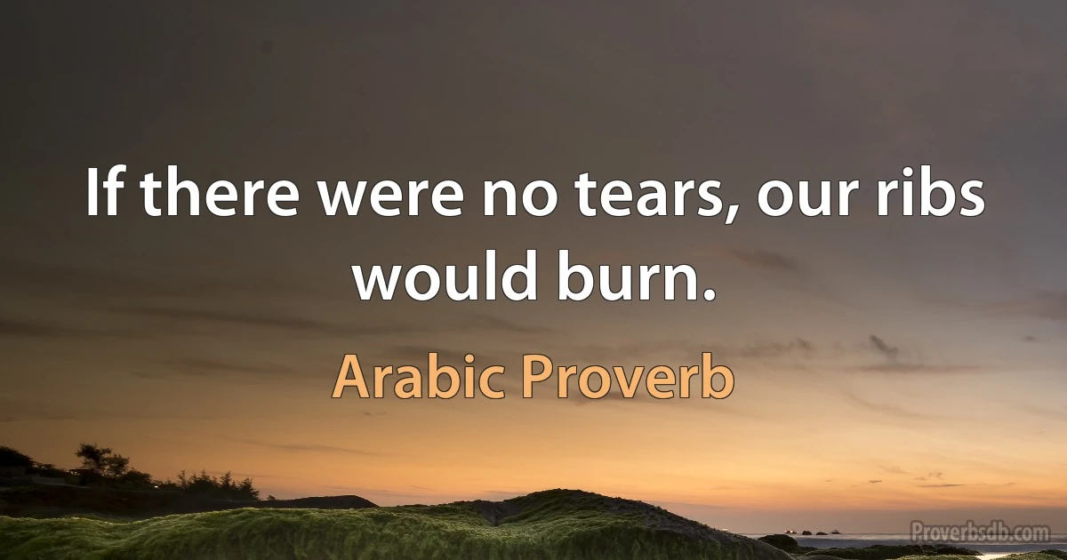 If there were no tears, our ribs would burn. (Arabic Proverb)