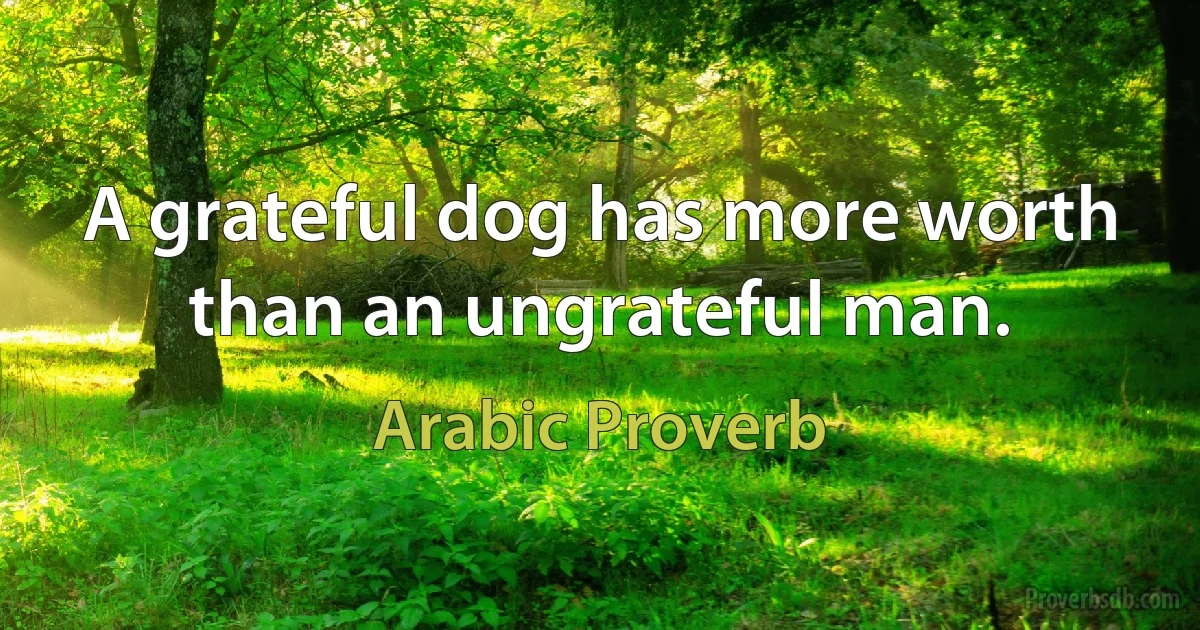 A grateful dog has more worth than an ungrateful man. (Arabic Proverb)