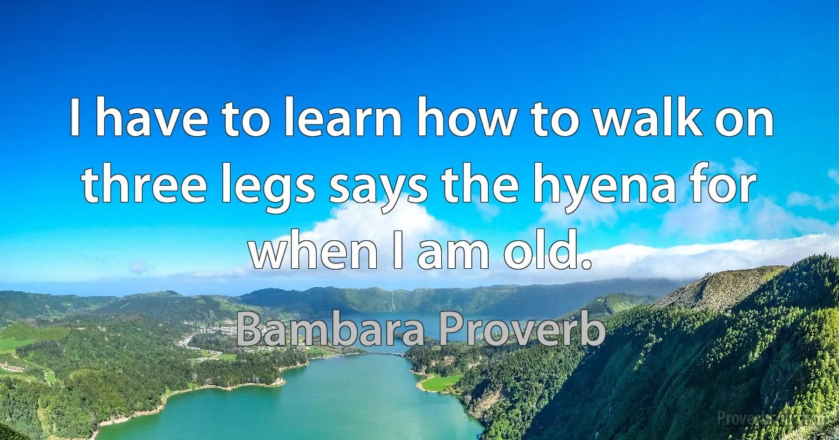 I have to learn how to walk on three legs says the hyena for when I am old. (Bambara Proverb)