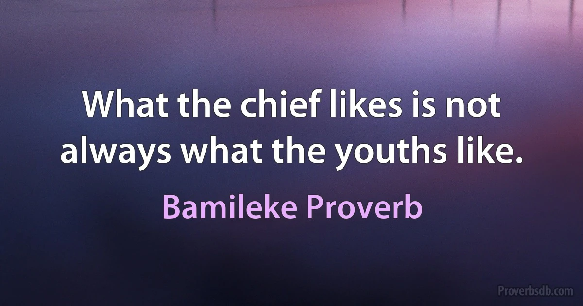 What the chief likes is not always what the youths like. (Bamileke Proverb)